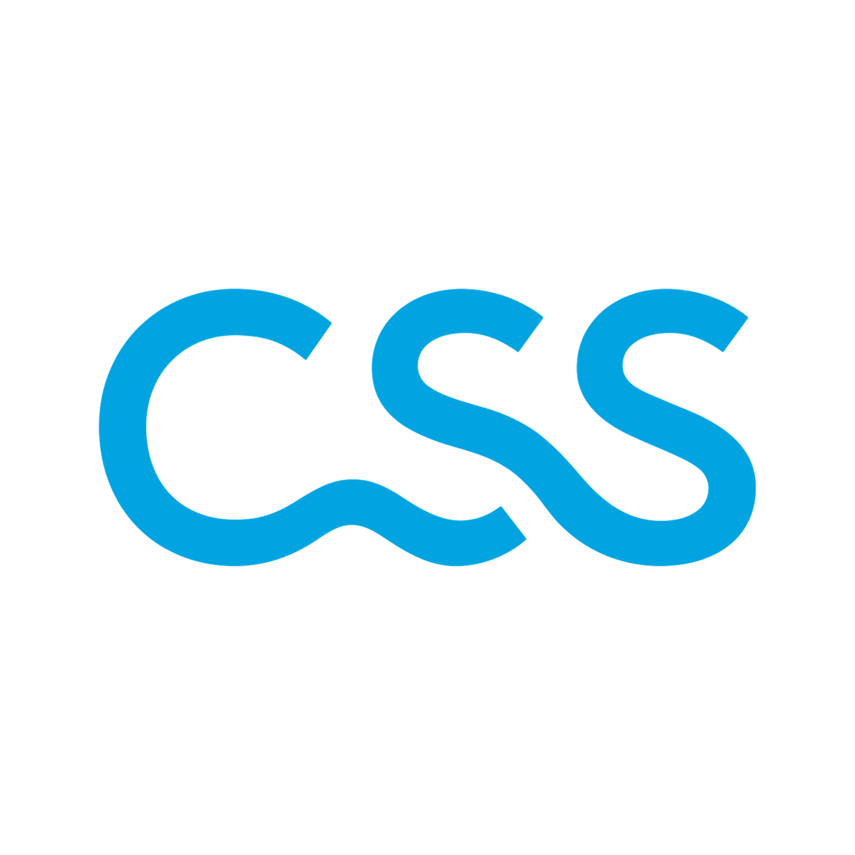 CSS Insurance