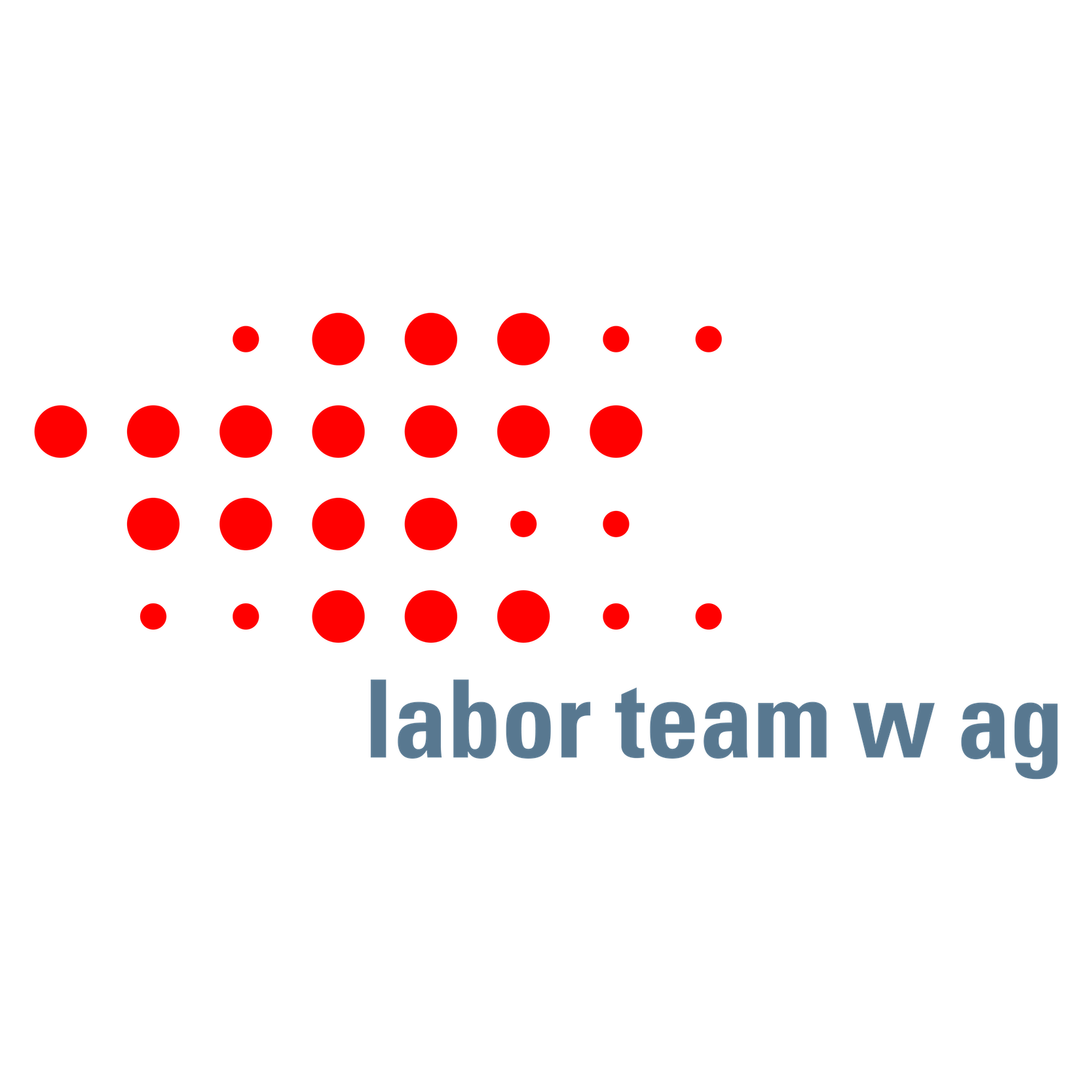 labor team w AG